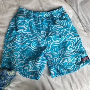 VV mens bathing suit